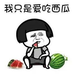 娱乐吃瓜看谁,吃瓜群众眼中的明星八卦